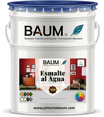 Pintura Baum Profesional 1