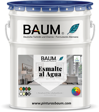 Pintura Baum Profesional 2